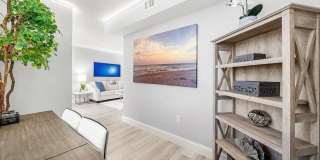 255 Evernia Street Gallery 12