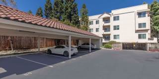 Paloma Vista Apartment Homes Gallery 25