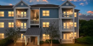 Gravity at 255 Gallery 1