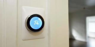 Belvedere Gallery 18