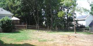 10329 Billingham Dr Gallery 26