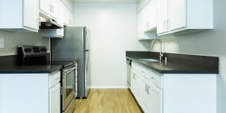 The Madrid Gallery 4