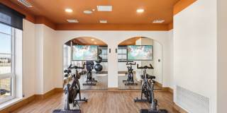 Oso Apartments Gallery 10