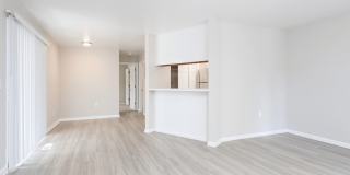 The Dawson Gallery 9