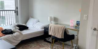 Beautiful Southie apartment Gallery 1