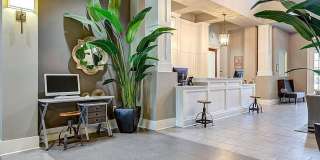 Haven at Birkdale Village Gallery 21