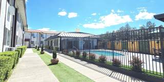 Moana Gallery 28
