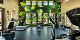Stonebridge Ranch Gallery 12
