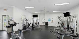 Bellingham Park Bellingham Park Gallery 12