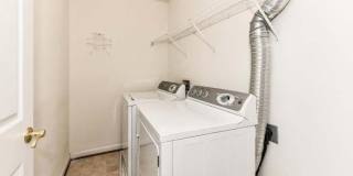 21759 LADYSLIPPER Square Gallery 18