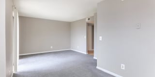 Hickory View Gallery 20