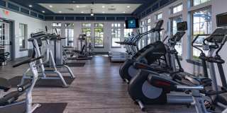 Marisol at Viera Gallery 21