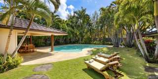 Modern Tropical Home w/Pool, Private Yard, & A/C. Kahala Breeze Modern Tropical Home w/Pool, Private Yard, & A/C. Kahala Breeze Gallery 5
