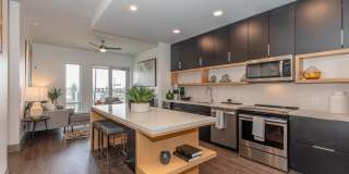 Live Grandscape Gallery 22