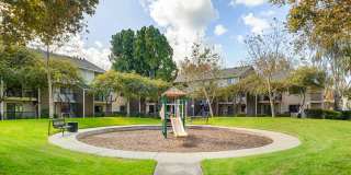 Briarwood Gallery 34