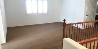 9191 DUTCH OVEN Court Gallery 18