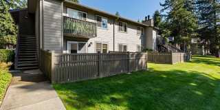 Scout apartments Gallery 41