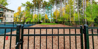 Encore Apartments Gallery 14