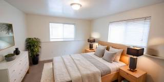 Canyon Trail Gallery 5