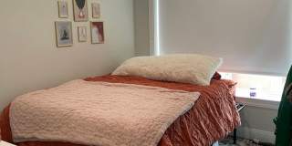 Beautiful Southie apartment Gallery 5