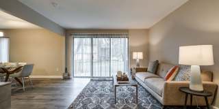 Radius at Ten Mile Gallery 8