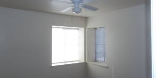 8124 Pinefield Dr Gallery 13