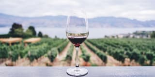 The Village at Vintage Ranch Gallery 57