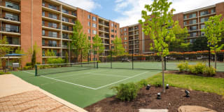 Falls Green Gallery 32