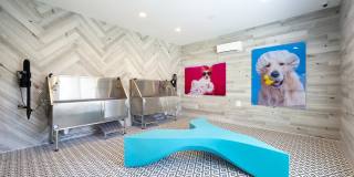 San Palmas Gallery 46