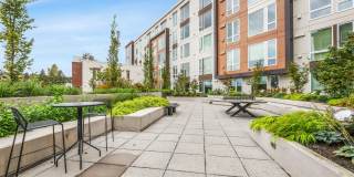 Ellis at Bel-Red Gallery 14