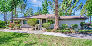 Country Club Village Gallery 21