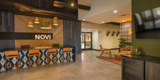 Novi at Lowry Gallery 6