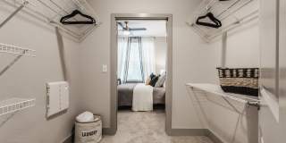 Lector 85 Gallery 15