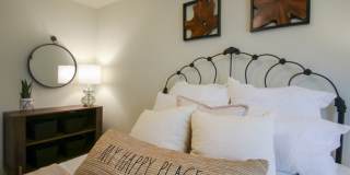 College Woods Gallery 26