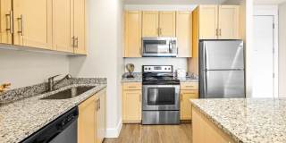 Mountain Trail Gallery 44