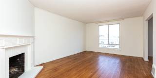 Outer Sunset: Top Floor w/ Shared Yard & Laundry on N Judah Line Gallery 3
