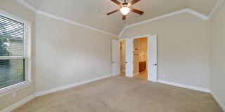 42 AVALON PARK 42 AVALON PARK Gallery 14