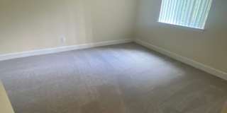 Northgate Gallery 232