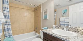 Sea Oats Sea Oats Gallery 74