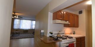 54-40 Little Neck Parkway unit: 1A Gallery 16