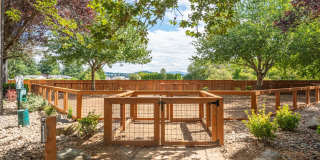 Mountain Meadows Gallery 25