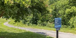 MAA Legacy Park Gallery 24