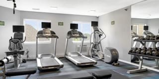 White Pines Gallery 10