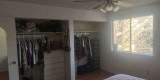 Charming 3BR Condo in Aurora Gallery 17