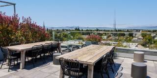 The Addison Berkeley Gallery 36