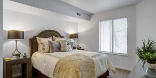 Laurel Valley Gallery 12