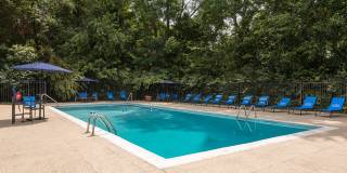 Park at Hurstbourne Gallery 13