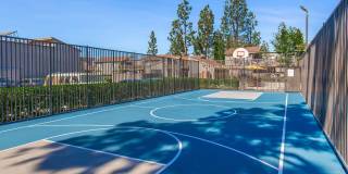 Eastwood Apartment Homes Gallery 7