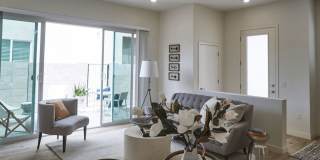 Novella at Biltmore Homes for Rent Gallery 5