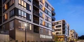 The Collins The Collins Gallery 4